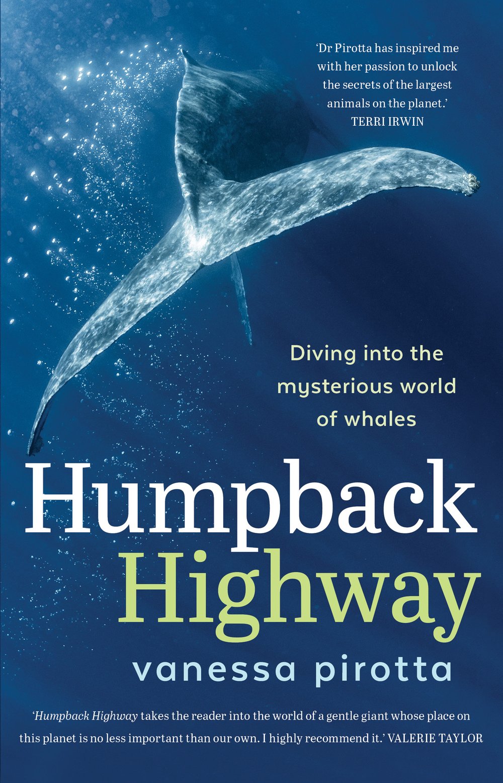 Humpback Highway