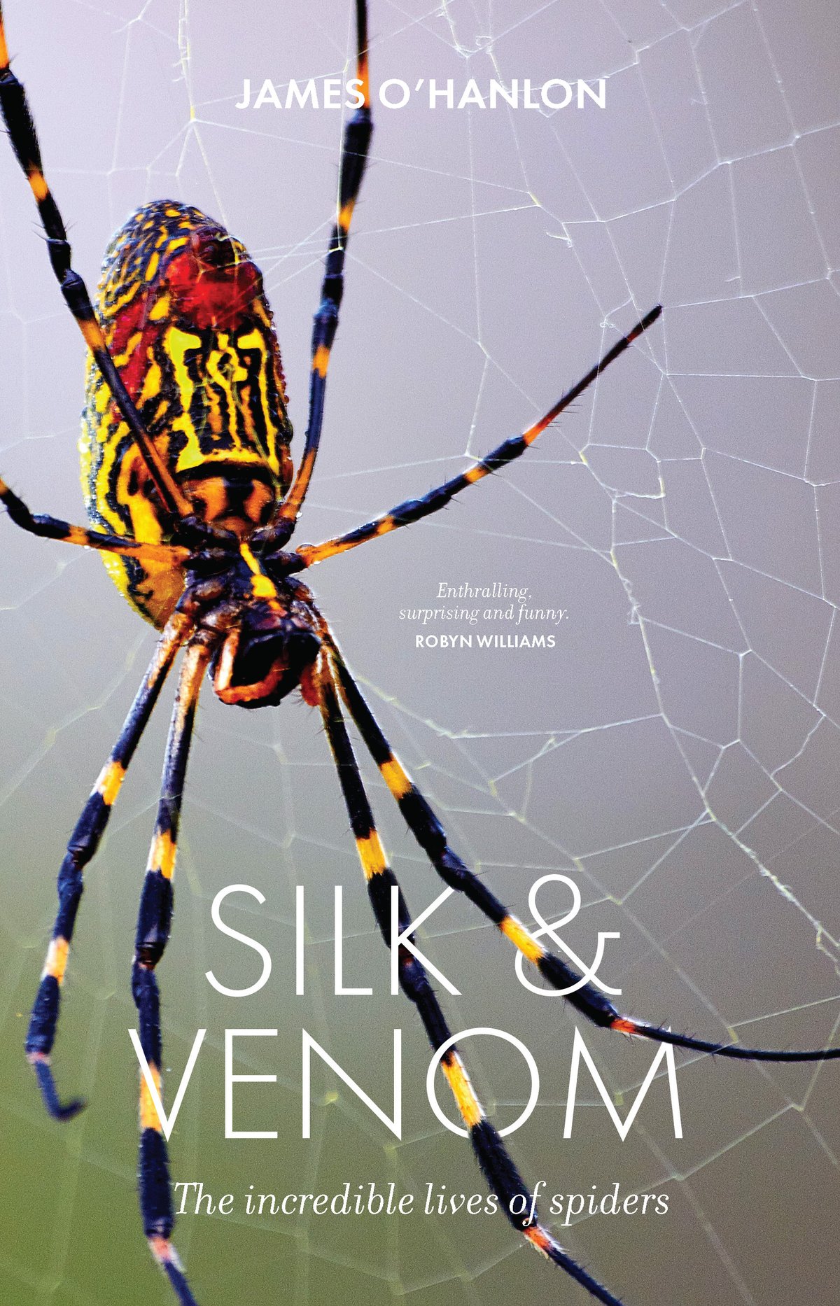 Silk & Venom